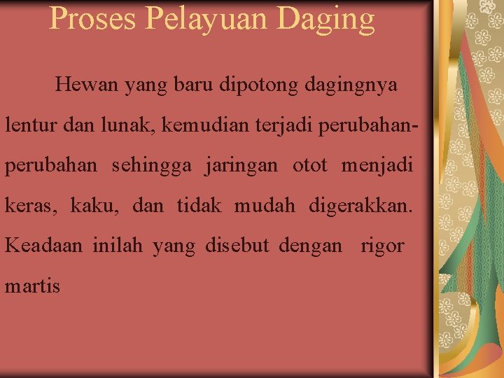  Proses Pelayuan Daging Hewan yang baru dipotong dagingnya lentur dan lunak, kemudian terjadi