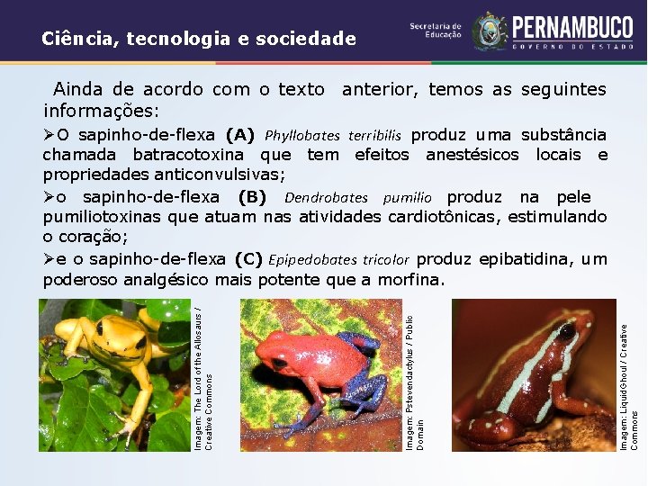 Ciência, tecnologia e sociedade Ainda de acordo com o texto anterior, temos as seguintes
