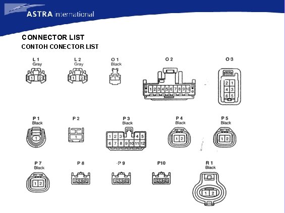 CONNECTOR LIST CONTOH CONECTOR LIST 