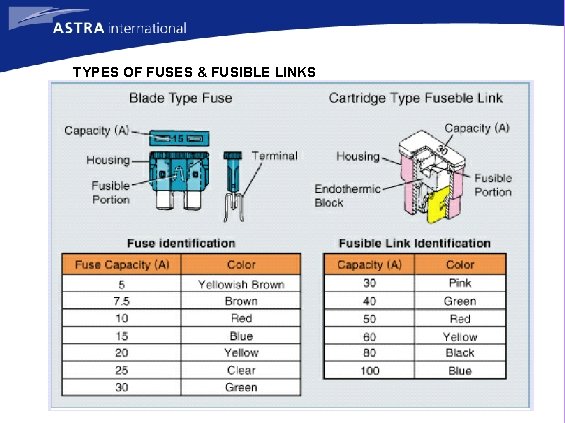 TYPES OF FUSES & FUSIBLE LINKS 