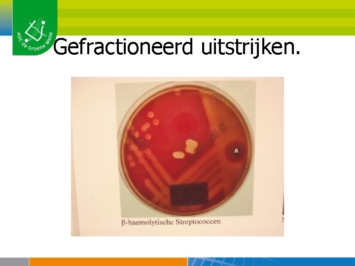 Gefractioneerd uitstrijken. 