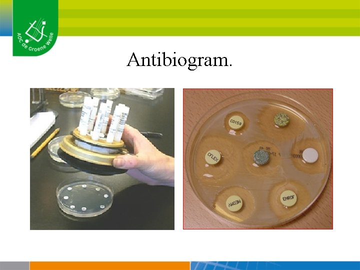 Antibiogram. 