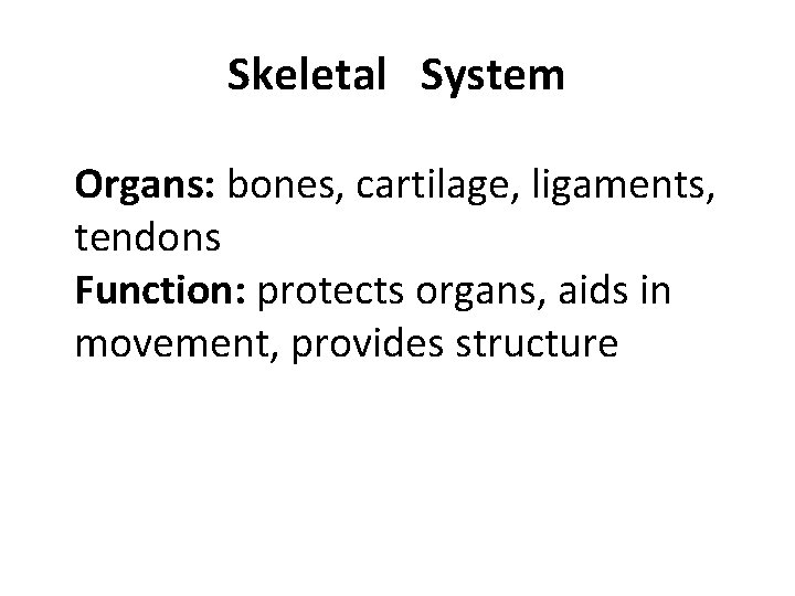 Skeletal System Organs: bones, cartilage, ligaments, tendons Function: protects organs, aids in movement, provides