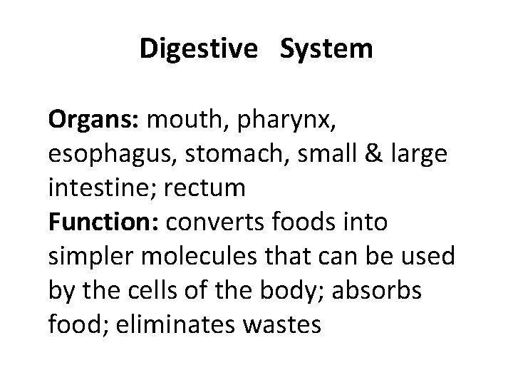 Digestive System Organs: mouth, pharynx, esophagus, stomach, small & large intestine; rectum Function: converts