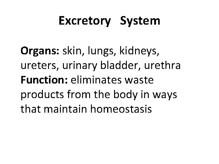 Excretory System Organs: skin, lungs, kidneys, ureters, urinary bladder, urethra Function: eliminates waste products