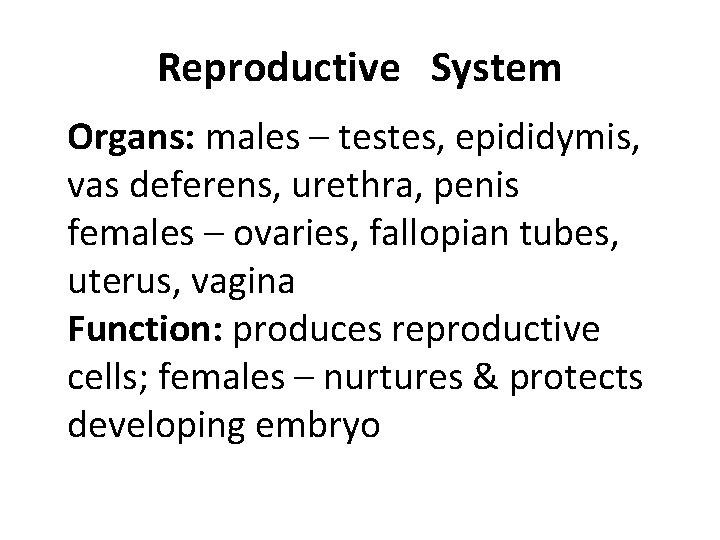 Reproductive System Organs: males – testes, epididymis, vas deferens, urethra, penis females – ovaries,