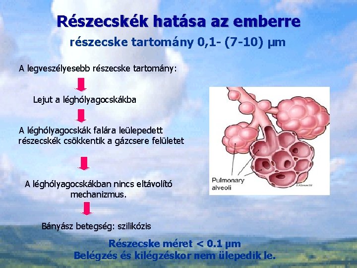 Részecskék hatása az emberre részecske tartomány 0, 1 - (7 -10) μm A legveszélyesebb