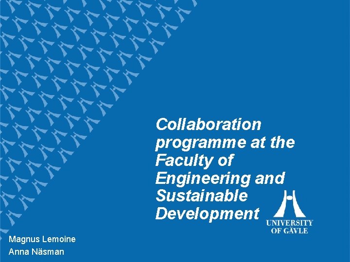 Collaboration University of Gävle programme at the Faculty of Engineering and Sustainable Development Magnus