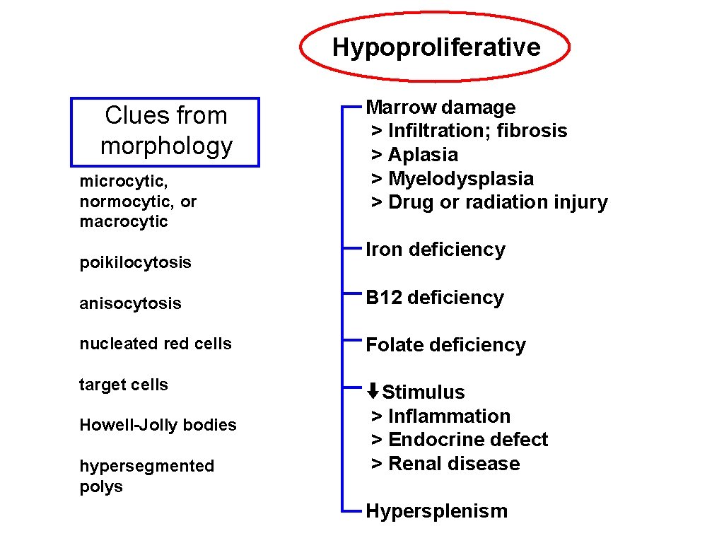 Hypoproliferative Clues from morphology microcytic, normocytic, or macrocytic poikilocytosis Marrow damage > Infiltration; fibrosis