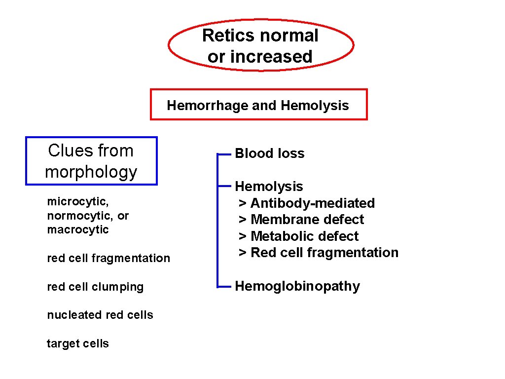 Retics normal or increased Hemorrhage and Hemolysis Clues from morphology Blood loss red cell