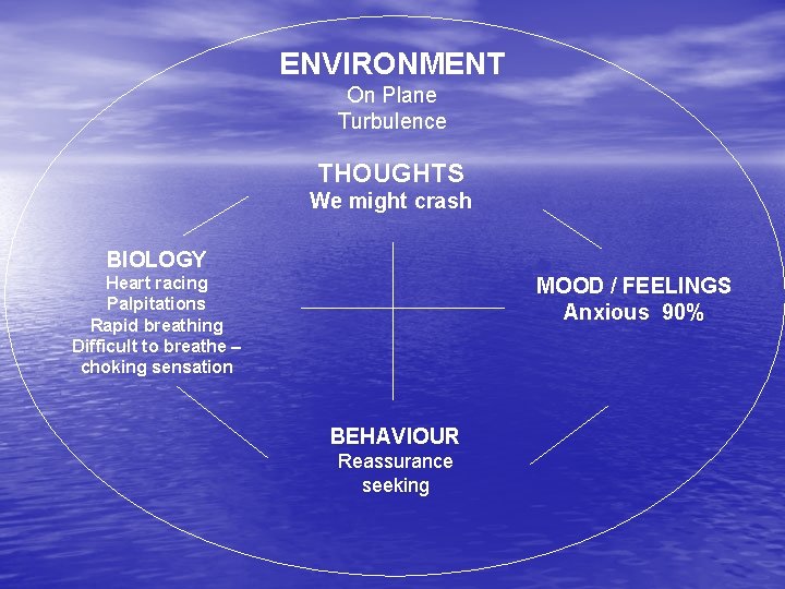 ENVIRONMENT On Plane Turbulence THOUGHTS We might crash BIOLOGY Heart racing Palpitations Rapid breathing