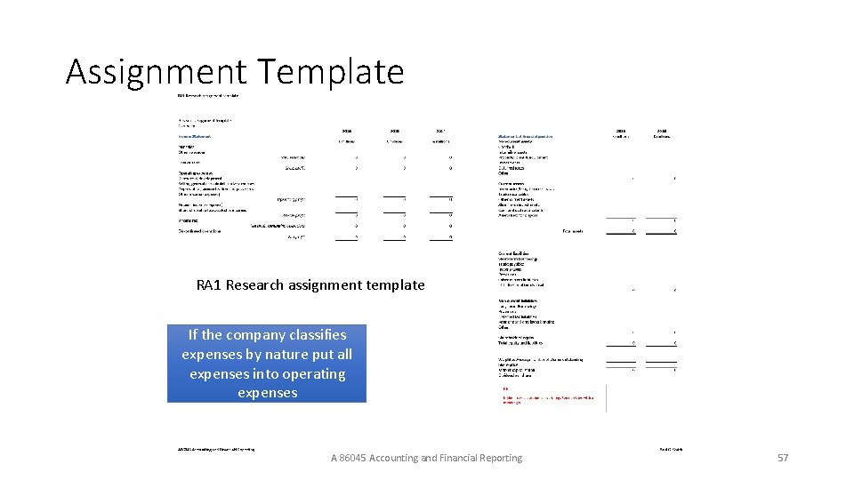 Assignment Template RA 1 Research assignment template If the company classifies expenses by nature