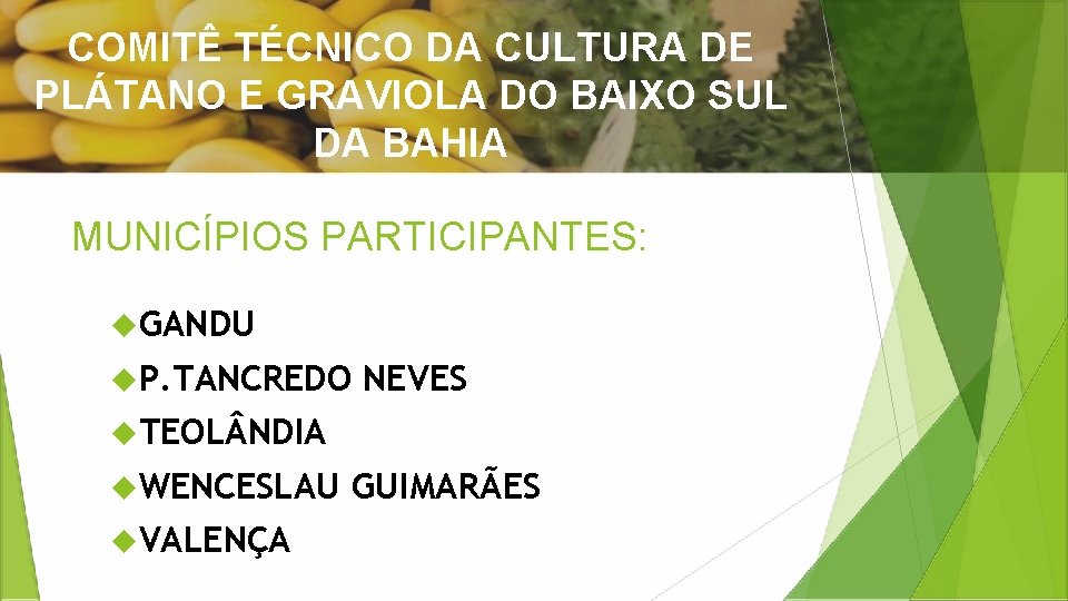 COMITÊ TÉCNICO DA CULTURA DE PLÁTANO E GRAVIOLA DO BAIXO SUL DA BAHIA MUNICÍPIOS