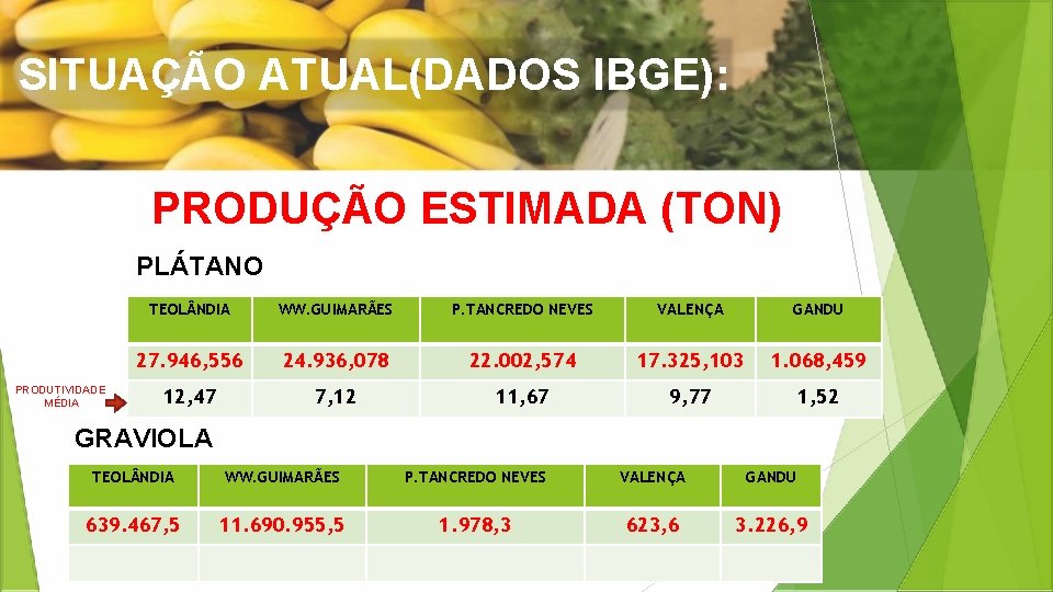 SITUAÇÃO ATUAL(DADOS IBGE): PRODUÇÃO ESTIMADA (TON) PLÁTANO PRODUTIVIDADE MÉDIA TEOL NDIA WW. GUIMARÃES P.