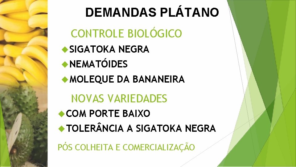 DEMANDAS PLÁTANO CONTROLE BIOLÓGICO SIGATOKA NEGRA NEMATÓIDES MOLEQUE DA BANANEIRA NOVAS VARIEDADES COM PORTE