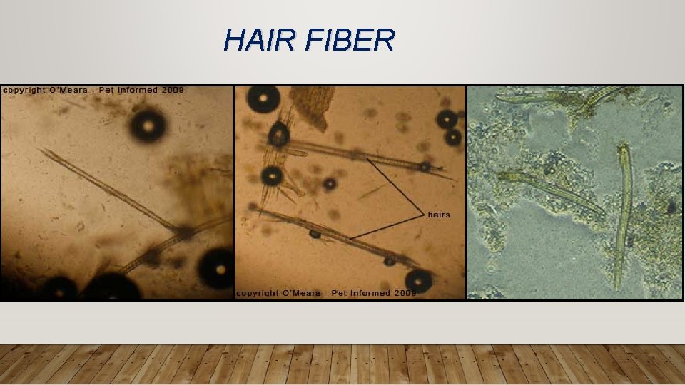 HAIR FIBER 