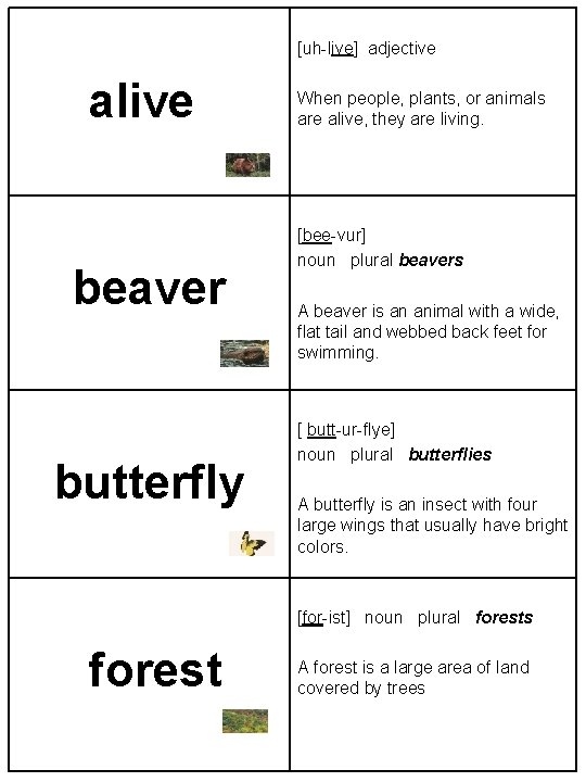 [uh-live] adjective alive beaver butterfly When people, plants, or animals are alive, they are