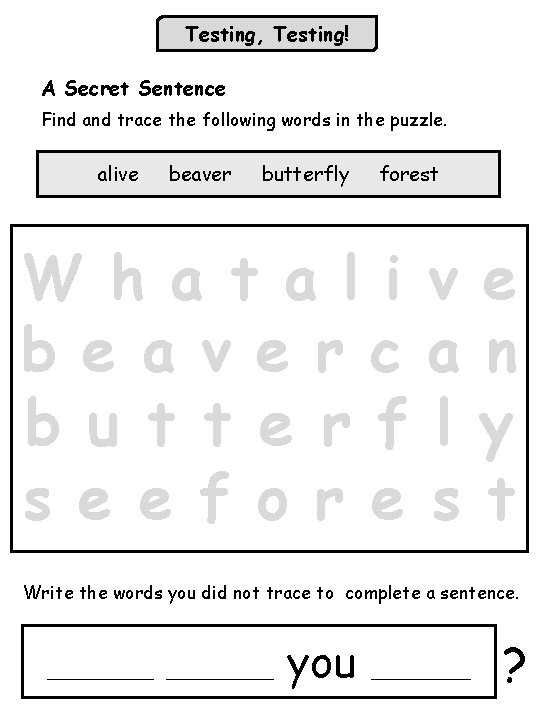 Testing, Testing! A Secret Sentence Find and trace the following words in the puzzle.