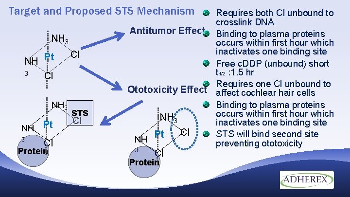 Target and Proposed STS Mechanism NH 3 NH Pt 3 Cl Protein Cl STS