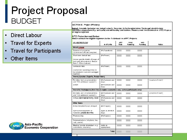 Project Proposal BUDGET • • Direct Labour Travel for Experts Travel for Participants Other