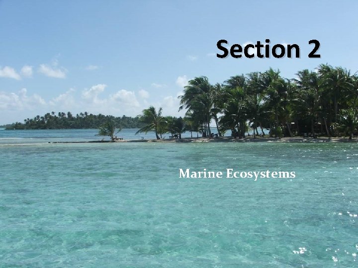 Section 2 Marine Ecosystems 