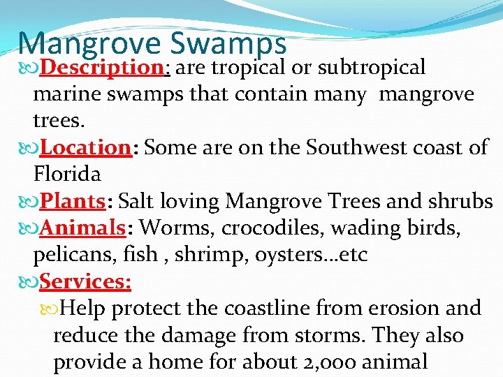 Mangrove Swamps Description: are tropical or subtropical marine swamps that contain many mangrove trees.