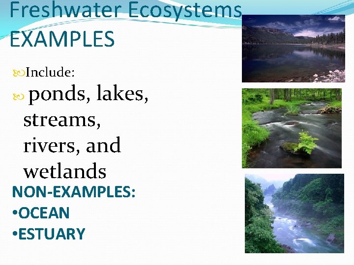 Freshwater Ecosystems EXAMPLES Include: ponds, lakes, streams, rivers, and wetlands NON-EXAMPLES: • OCEAN •