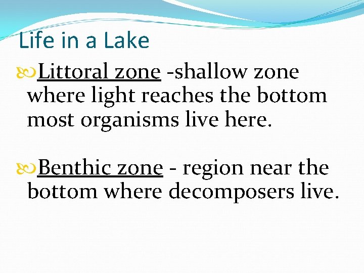 Life in a Lake Littoral zone -shallow zone where light reaches the bottom most