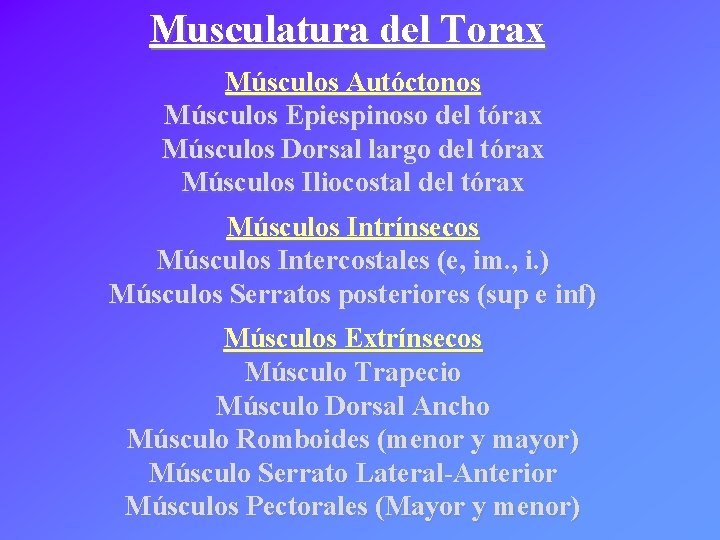 Musculatura del Torax Músculos Autóctonos Músculos Epiespinoso del tórax Músculos Dorsal largo del tórax