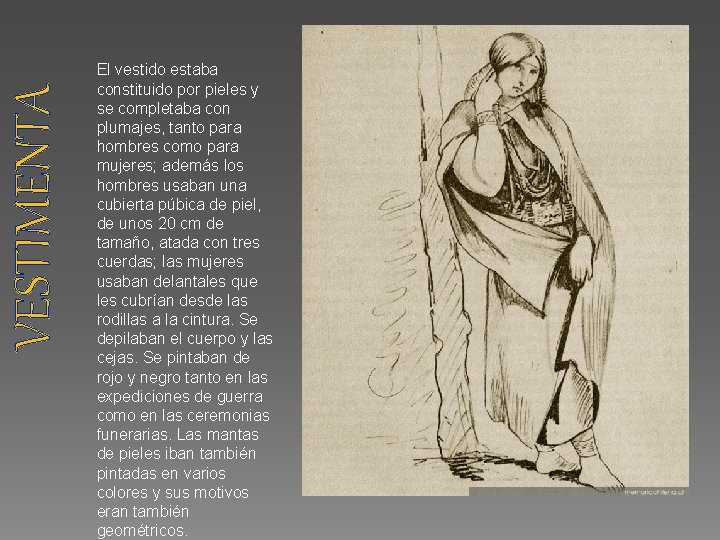 VESTIMENTA El vestido estaba constituido por pieles y se completaba con plumajes, tanto para