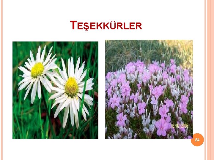 TEŞEKKÜRLER 24 