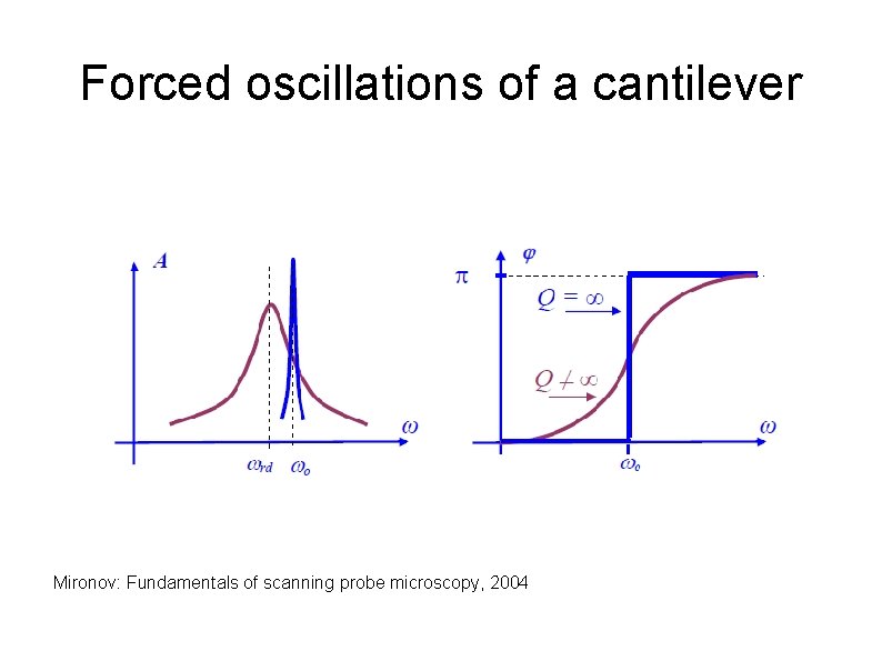 Forced oscillations of a cantilever Mironov: Fundamentals of scanning probe microscopy, 2004 