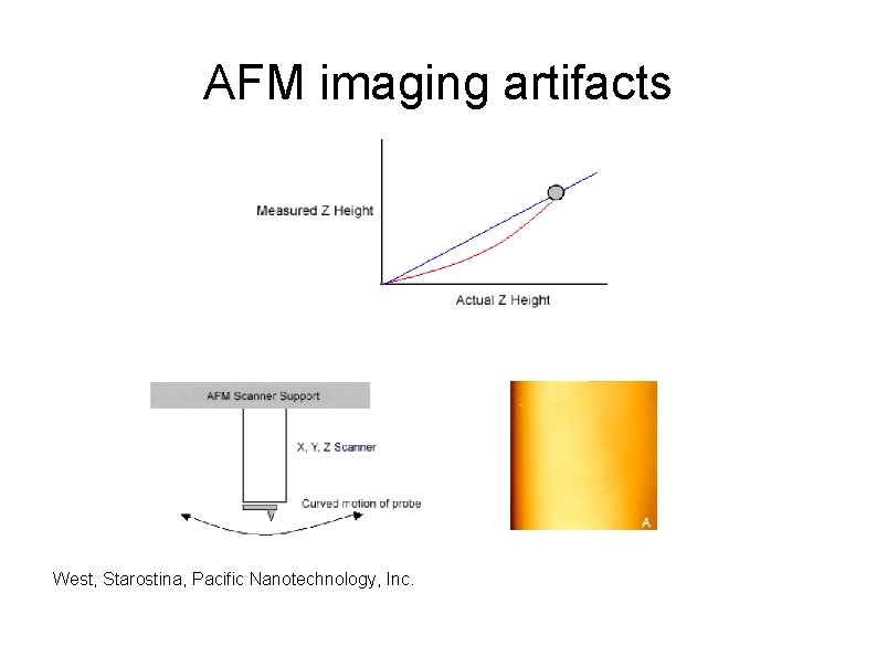 AFM imaging artifacts West, Starostina, Pacific Nanotechnology, Inc. 