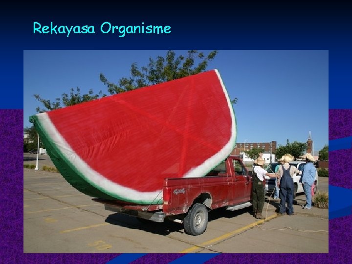 Rekayasa Organisme 