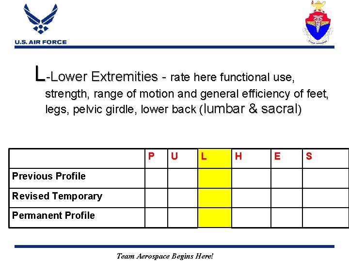 L-Lower Extremities - rate here functional use, strength, range of motion and general efficiency