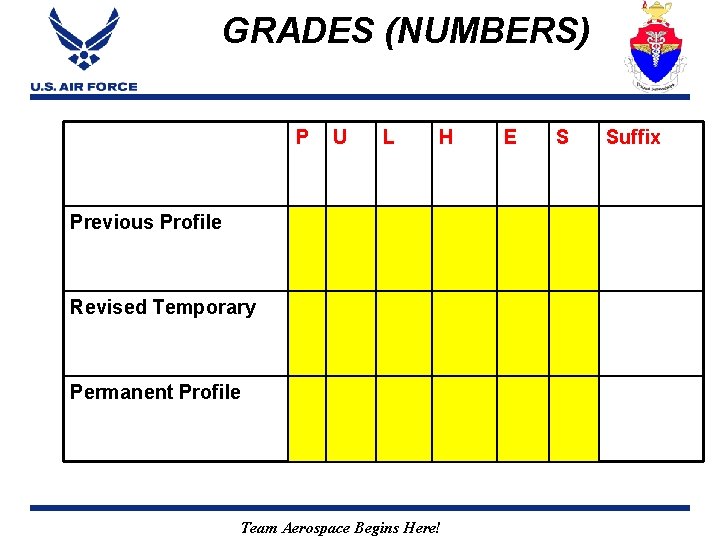 GRADES (NUMBERS) P U L H Previous Profile Revised Temporary Permanent Profile Team Aerospace
