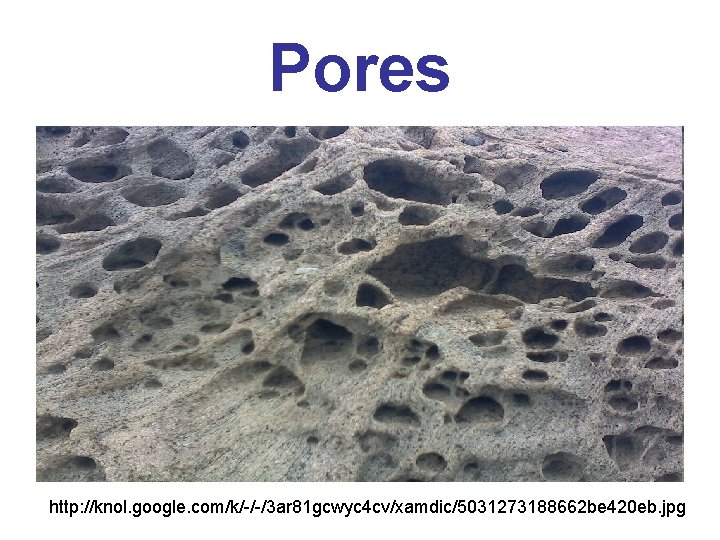 Pores http: //knol. google. com/k/-/-/3 ar 81 gcwyc 4 cv/xamdic/5031273188662 be 420 eb. jpg