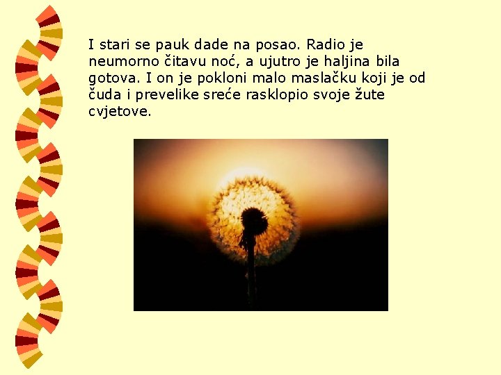 I stari se pauk dade na posao. Radio je neumorno čitavu noć, a ujutro