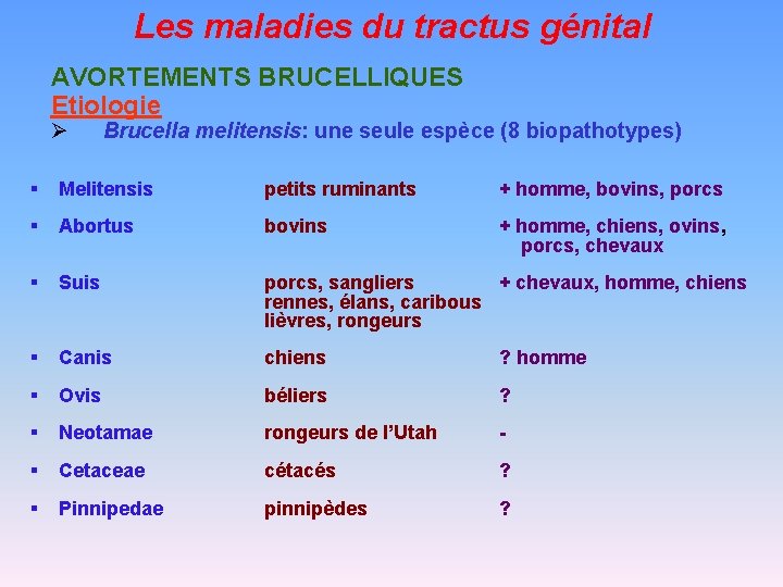 Les maladies du tractus génital AVORTEMENTS BRUCELLIQUES Etiologie Ø Brucella melitensis: une seule espèce