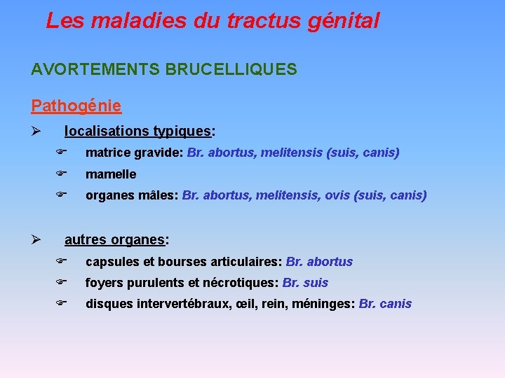 Les maladies du tractus génital AVORTEMENTS BRUCELLIQUES Pathogénie Ø Ø localisations typiques: F matrice