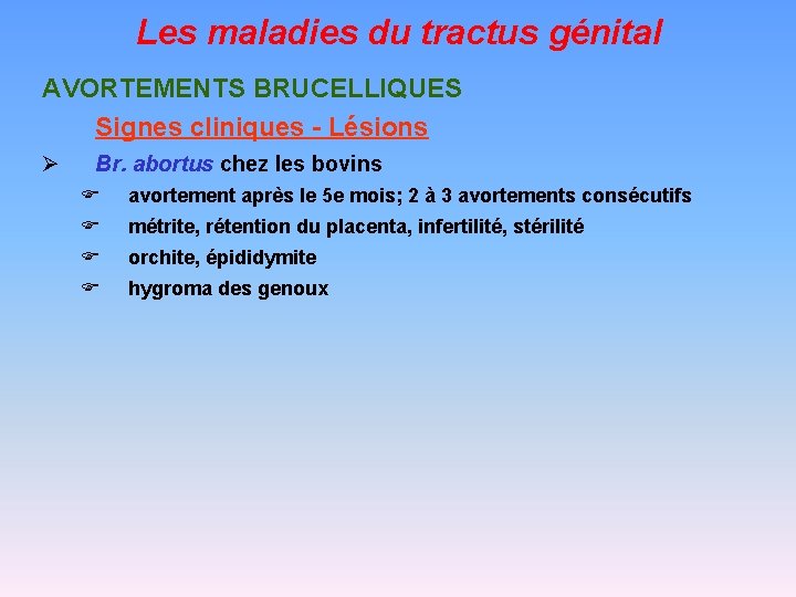 Les maladies du tractus génital AVORTEMENTS BRUCELLIQUES Signes cliniques - Lésions Ø Br. abortus