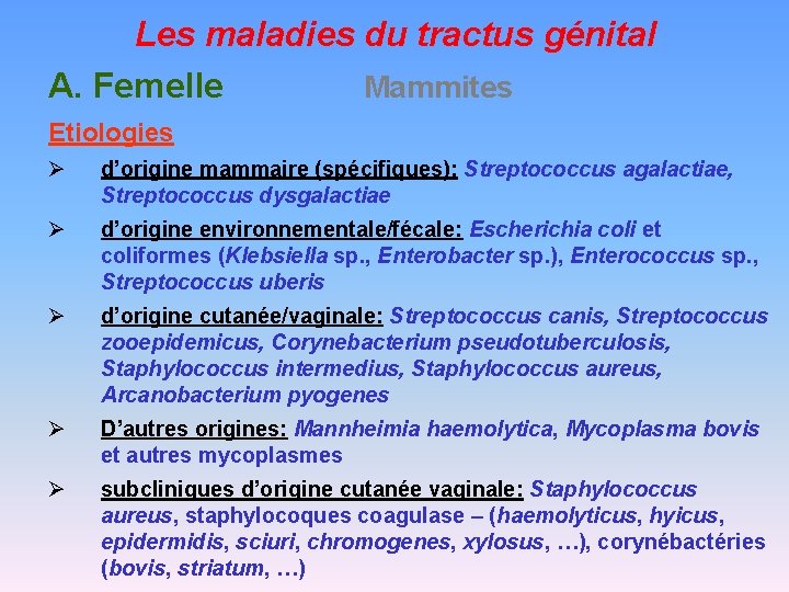 Les maladies du tractus génital A. Femelle Mammites Etiologies Ø d’origine mammaire (spécifiques): Streptococcus