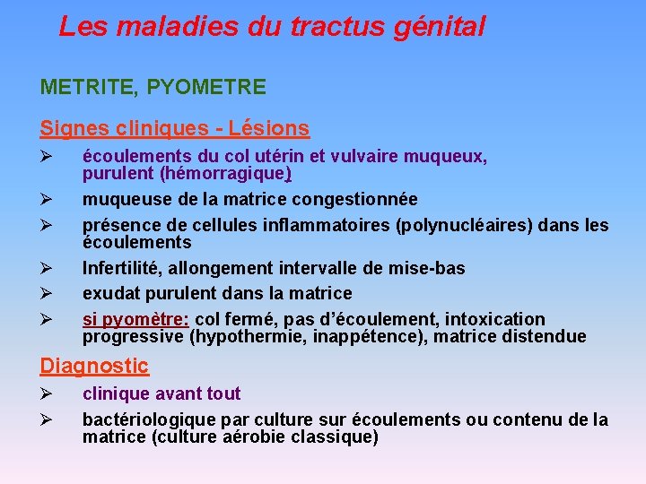 Les maladies du tractus génital METRITE, PYOMETRE Signes cliniques - Lésions Ø Ø Ø