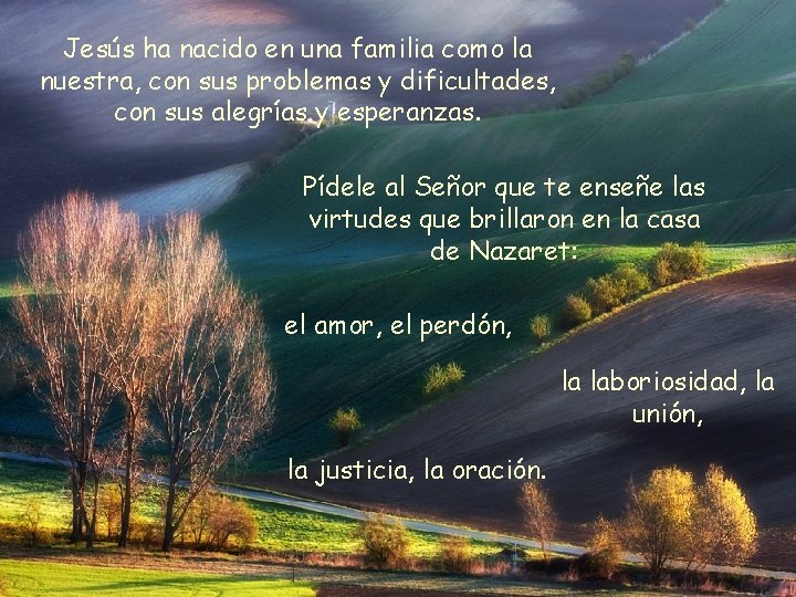 Jesús ha nacido en una familia como la nuestra, con sus problemas y dificultades,