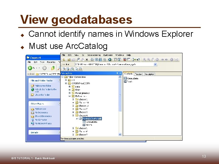 View geodatabases u u Cannot identify names in Windows Explorer Must use Arc. Catalog
