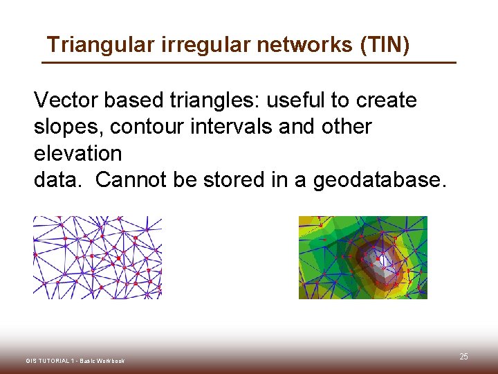 Triangular irregular networks (TIN) Vector based triangles: useful to create slopes, contour intervals and