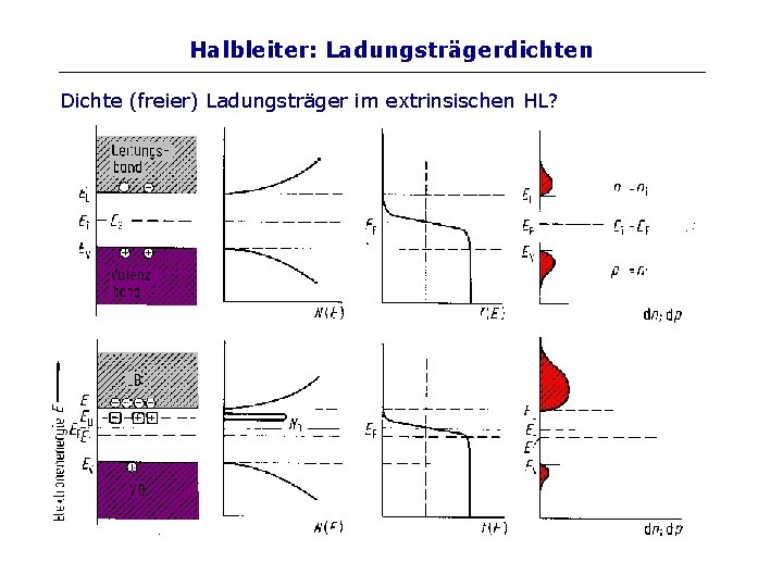 Halbleiter: Ladungsträgerdichten Dichte (freier) Ladungsträger im extrinsischen HL? 