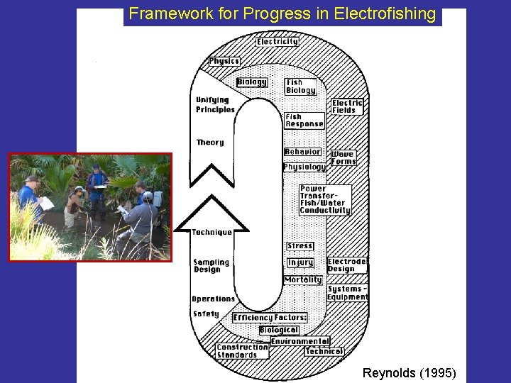 Framework for Progress in Electrofishing Reynolds (1995) 