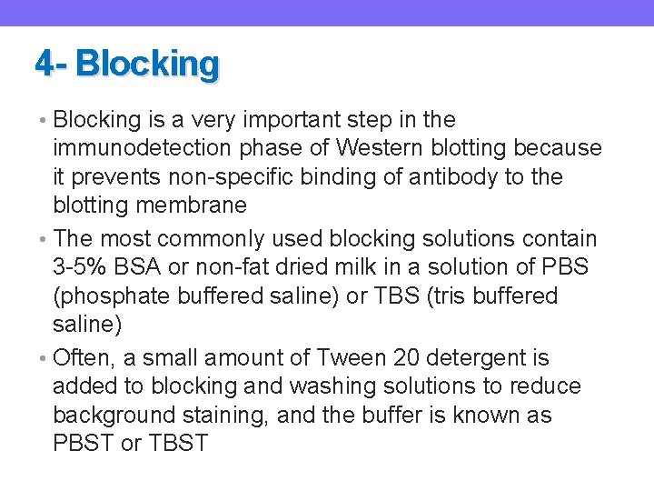 4 - Blocking • Blocking is a very important step in the immunodetection phase