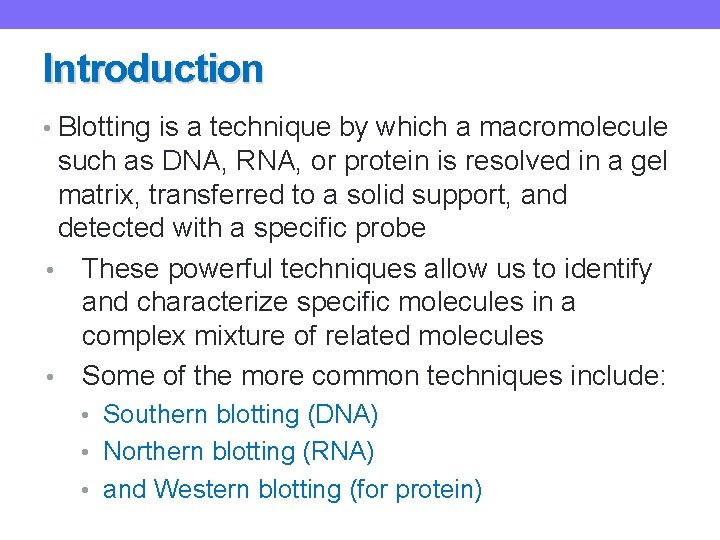 Introduction • Blotting is a technique by which a macromolecule such as DNA, RNA,